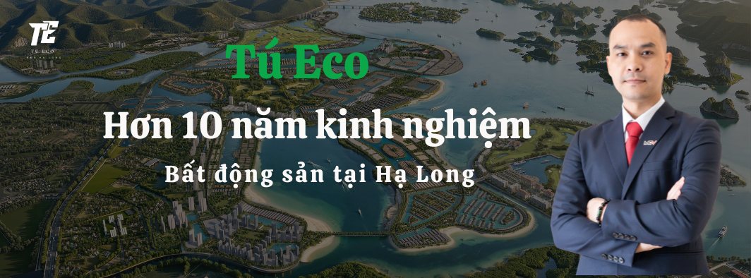 Tú Eco Master Bất động sản Hạ Long