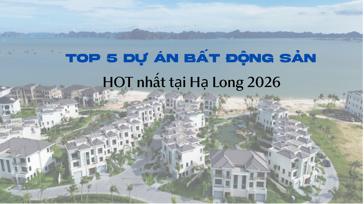 Top 5 dự án Bất động sản tại Hạ Long 2026