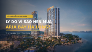 Lý do vì sao nên mua căn hộ tai Aria Bay Hạ Long